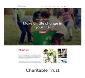 Websites-Charity-300x273